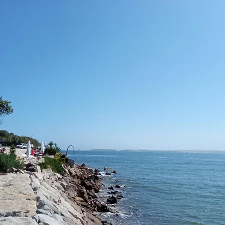 Casa de hóspedes White *