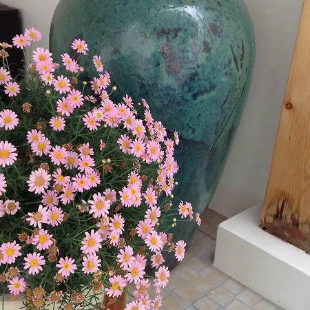 Casa de hóspedes White