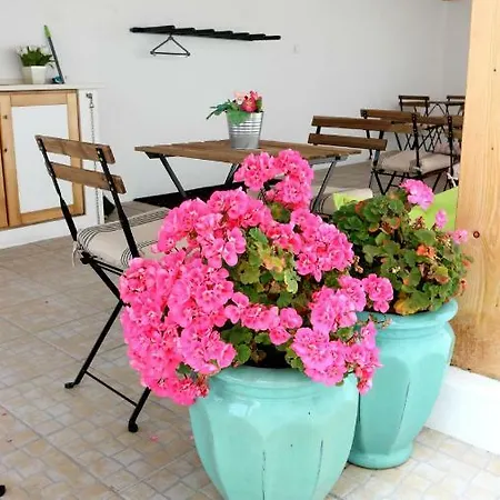 Guest house White